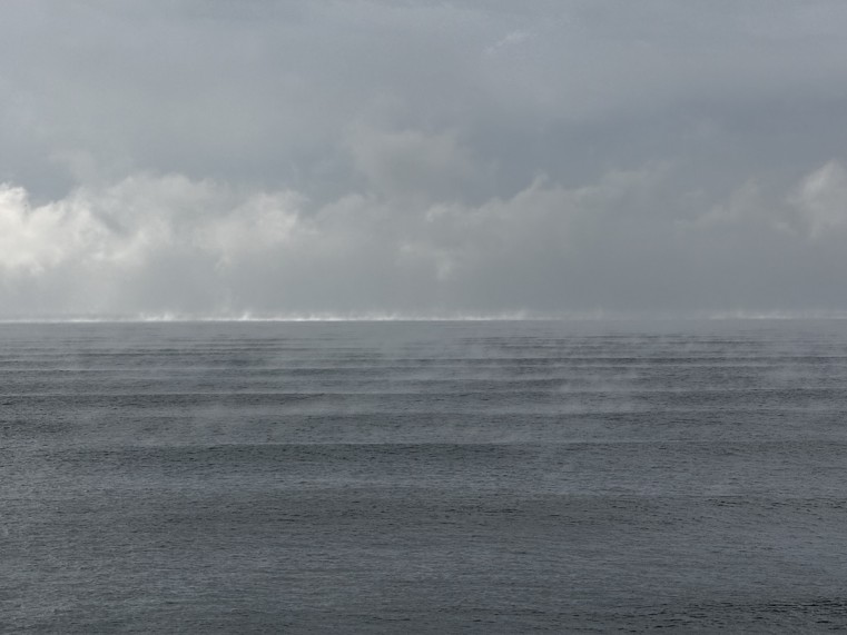 朝の時点ではヒザ〜モモくらいのサイズでしたが、腹サイズのうねりがコンスタントに反応していました。 ただし、潮が多くてほとんど割れません。