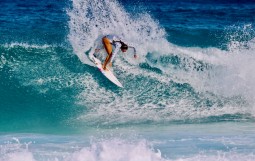 スクリーンショット 2025-12-24 15.37.24