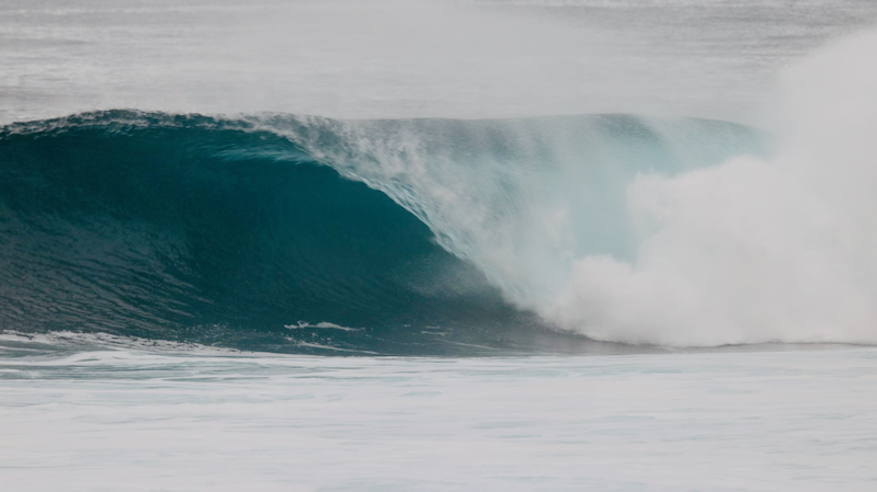 スクリーンショット 2025-12-21 4.38.39