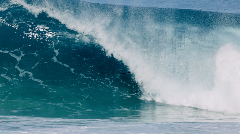 スクリーンショット 2025-12-11 3.13.49