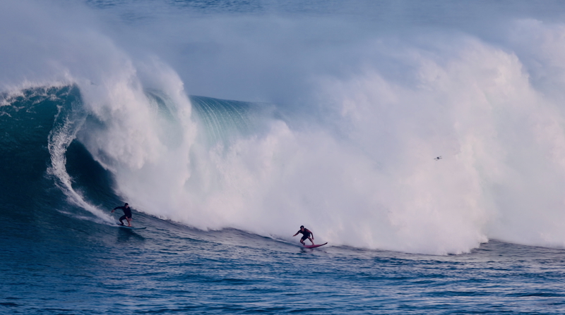 スクリーンショット 2025-12-01 4.17.48