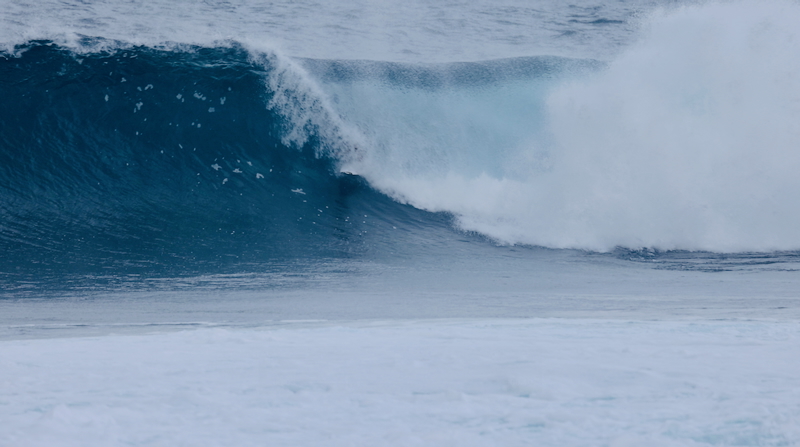 スクリーンショット 2025-12-17 13.04.55