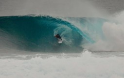 スクリーンショット 2025-12-18 15.43.56 (1)