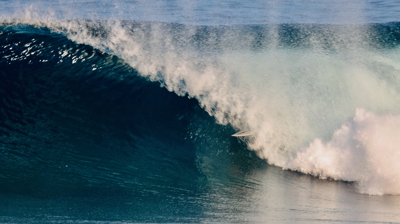 スクリーンショット 2025-12-13 12.23.16