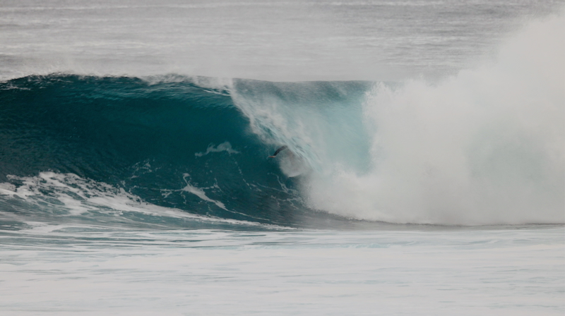 スクリーンショット 2025-12-21 4.38.53