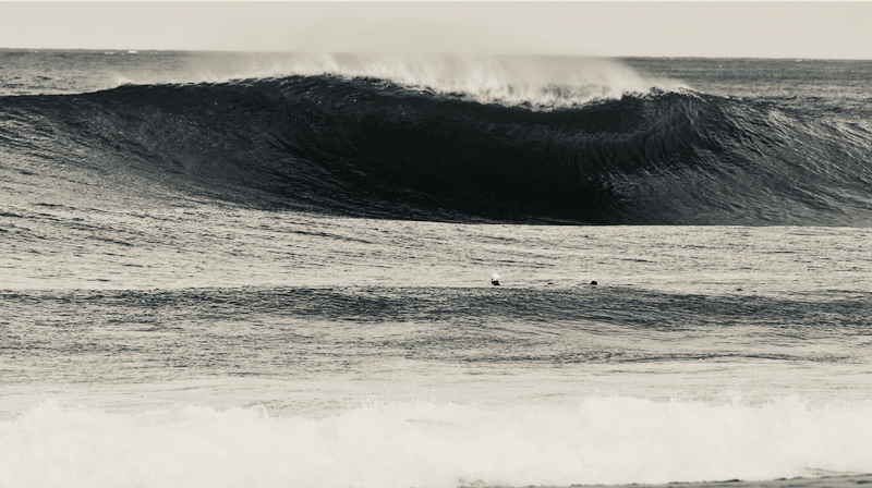 スクリーンショット 2025-12-22 16.52.45