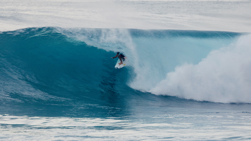 スクリーンショット 2026-01-20 5.31.49