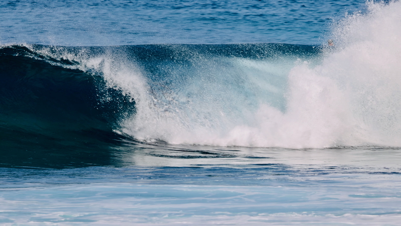 スクリーンショット 2026-01-20 18.00.52