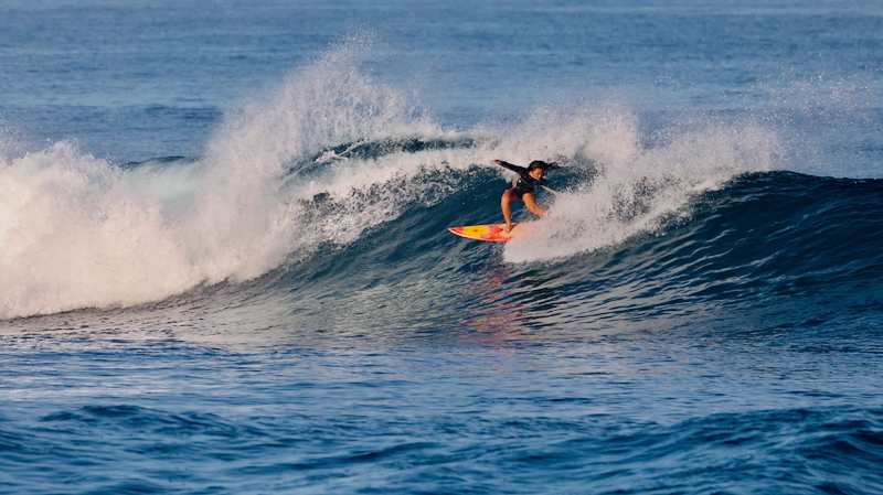 スクリーンショット 2026-01-09 14.26.48