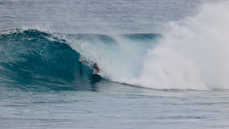 スクリーンショット 2026-01-24 17.43.54