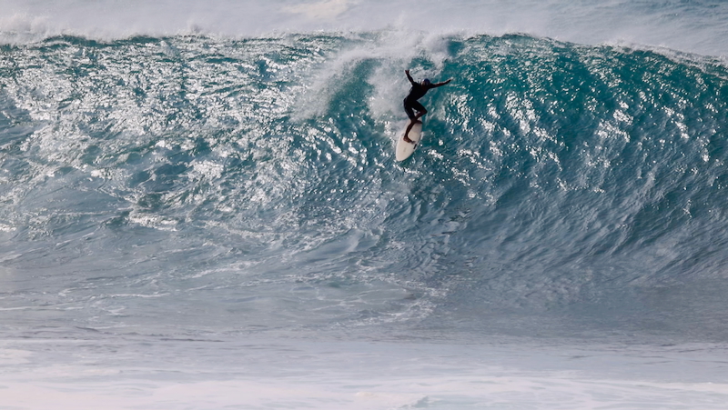 スクリーンショット 2026-01-12 6.15.32