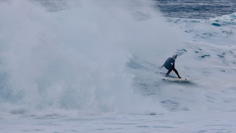 スクリーンショット 2026-01-19 3.18.12