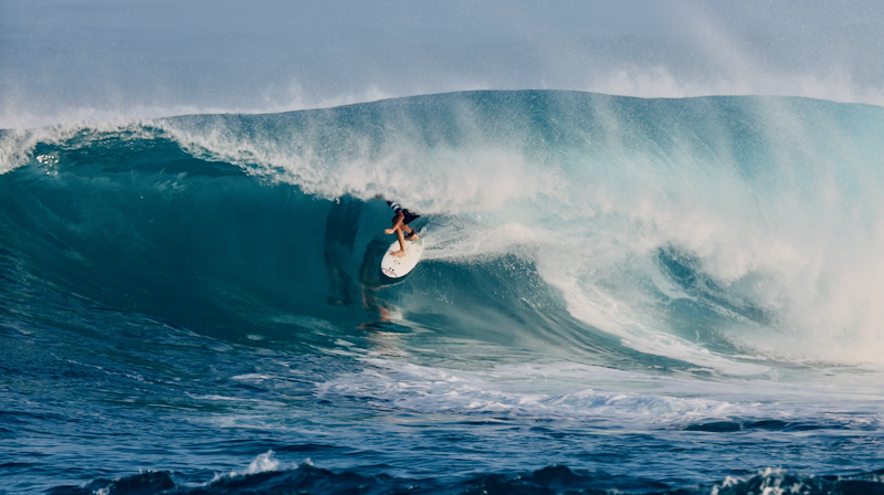 スクリーンショット 2026-01-28 17.39.08