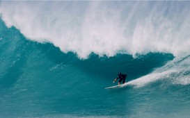 スクリーンショット 2026-01-12 5.45.09