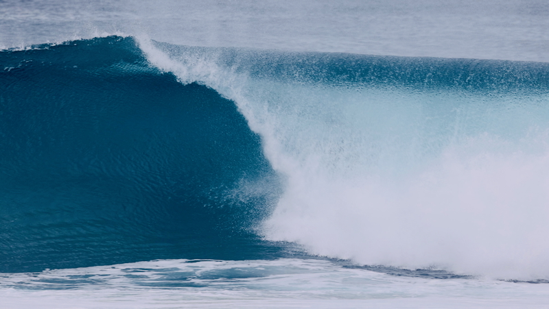 スクリーンショット 2026-01-19 3.07.10