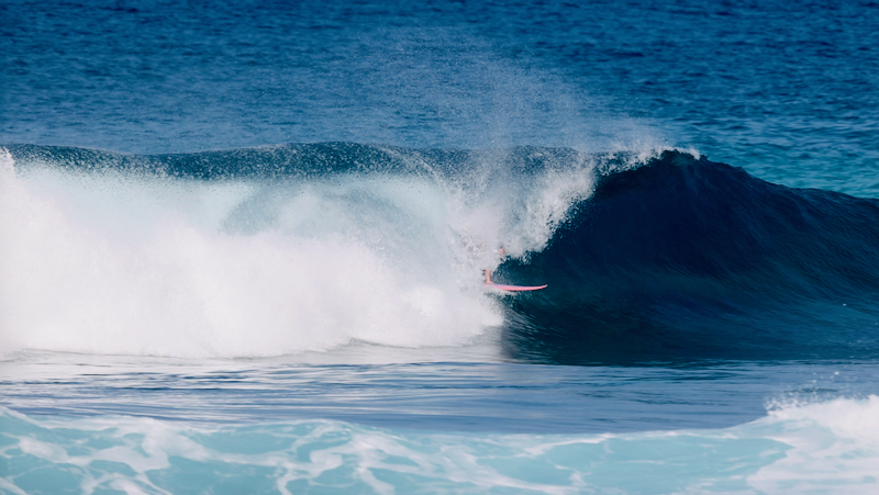 スクリーンショット 2026-01-29 14.08.40