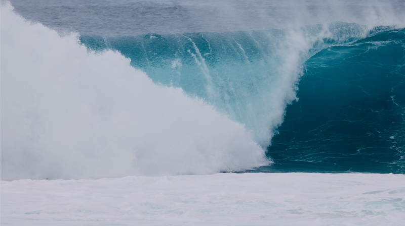 スクリーンショット 2026-01-19 3.12.58