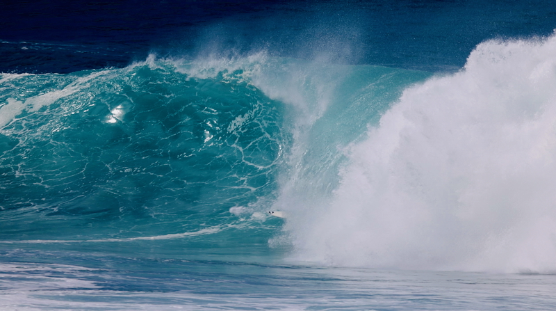 スクリーンショット 2026-01-12 6.04.22