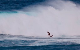 スクリーンショット 2026-01-16 13.53.17 (1)