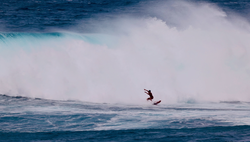 スクリーンショット 2026-01-16 13.53.17 (1)