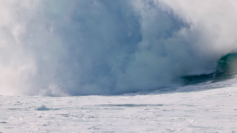 スクリーンショット 2026-01-14 5.03.44