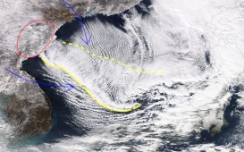 CREATOR: gd-jpeg v1.0 (using IJG JPEG v62), quality = 80