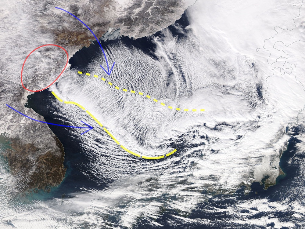 CREATOR: gd-jpeg v1.0 (using IJG JPEG v62), quality = 80