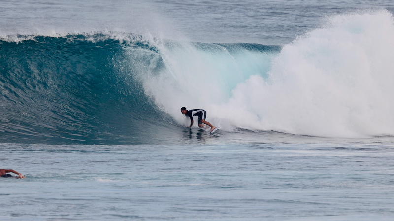 スクリーンショット 2026-01-24 17.40.33