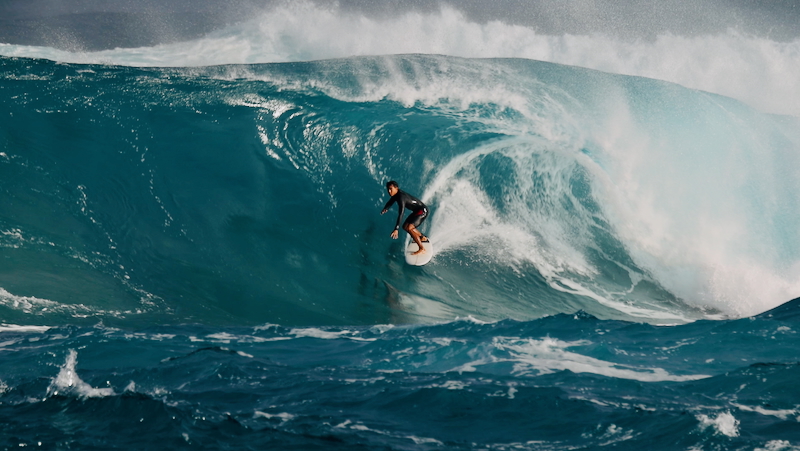 スクリーンショット 2026-01-17 14.42.22