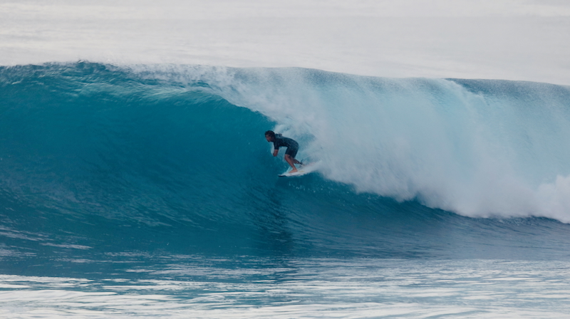 スクリーンショット 2026-01-20 5.31.31