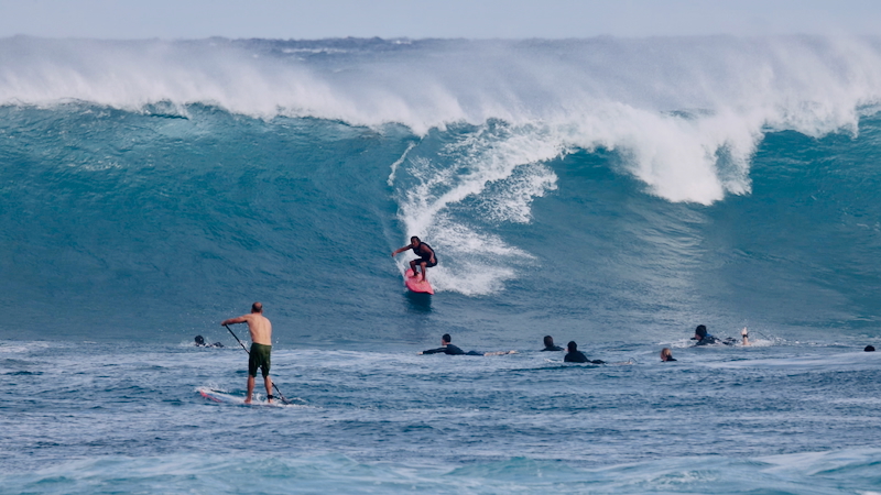 スクリーンショット 2026-01-17 15.00.07