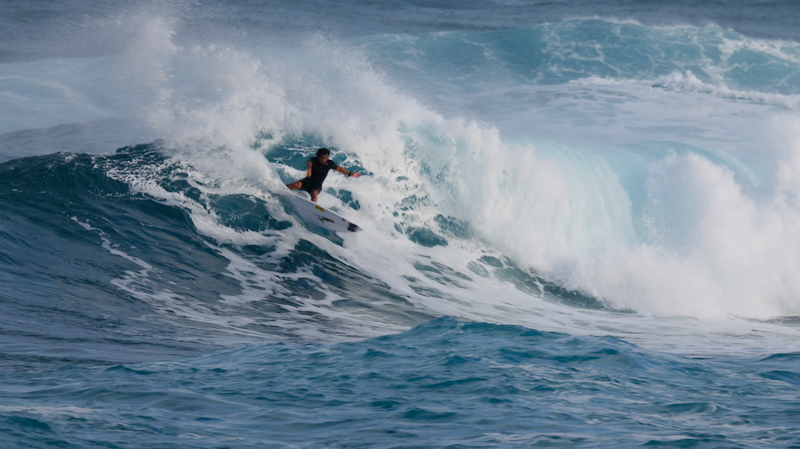 スクリーンショット 2026-01-17 14.35.12