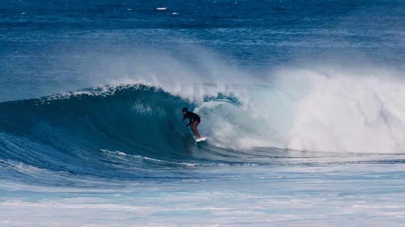 スクリーンショット 2026-01-08 5.11.18