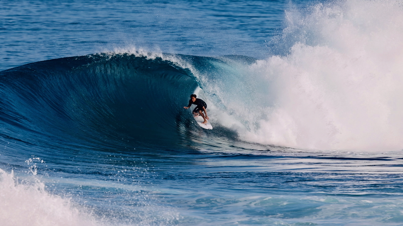 スクリーンショット 2026-01-08 17.18.00