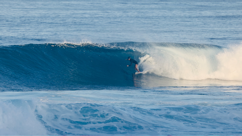 スクリーンショット 2026-01-10 17.36.18