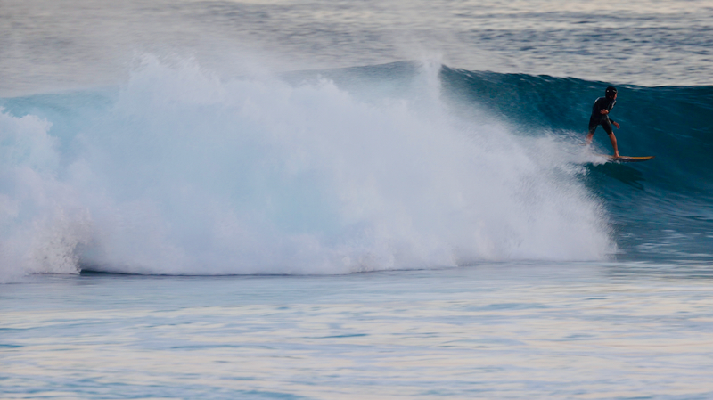 スクリーンショット 2026-01-27 16.40.12