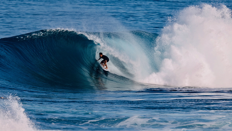 スクリーンショット 2026-01-08 17.17.49