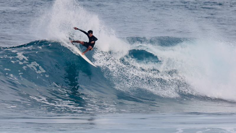 スクリーンショット 2026-01-24 17.33.40