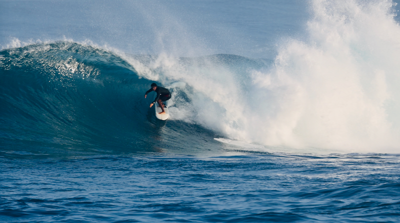 スクリーンショット 2026-01-28 17.26.13