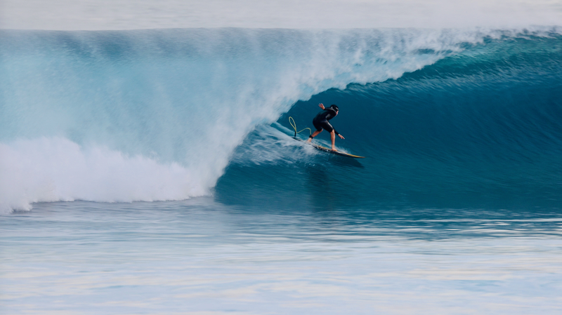 スクリーンショット 2026-01-27 16.38.26