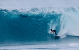 スクリーンショット 2026-01-19 3.00.27