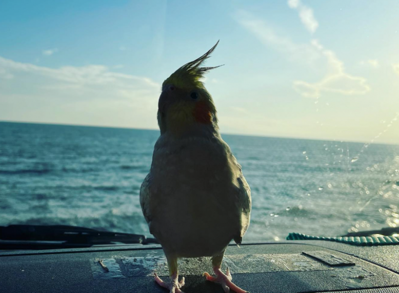 スクリーンショット 2025-12-24 121339