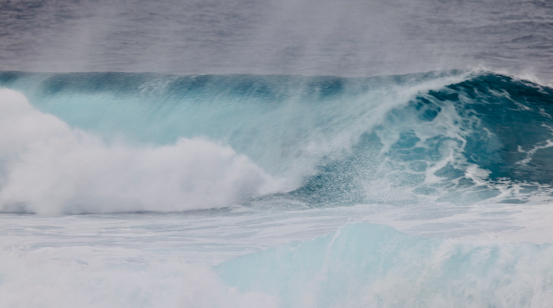 スクリーンショット 2026-01-22 19.57.35