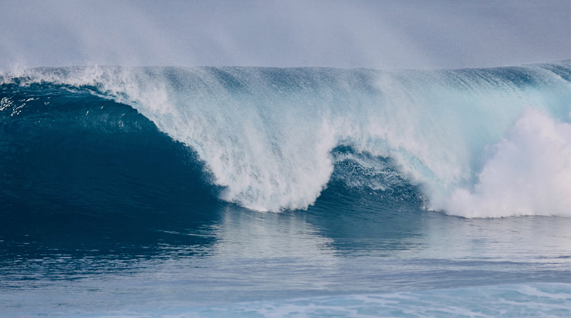 スクリーンショット 2026-01-20 5.45.11