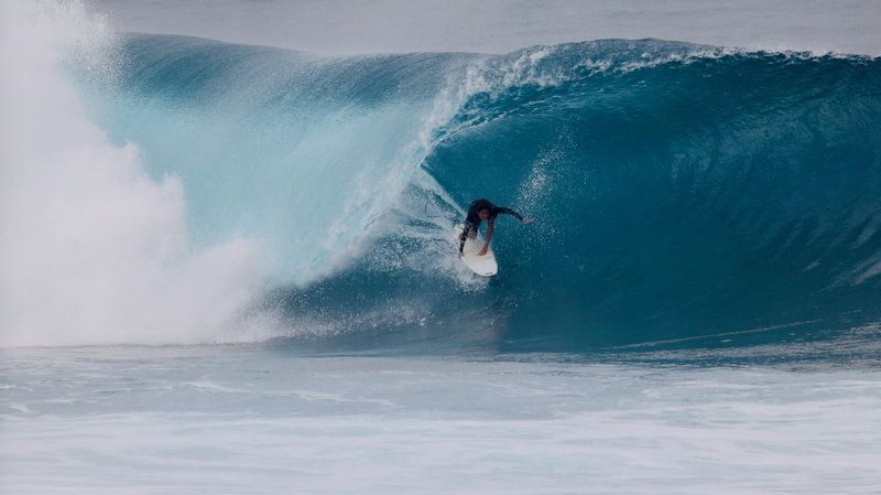 スクリーンショット 2026-01-30 17.49.10