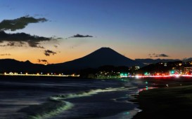 46885020-0FC2-4185-B563-E822E146C112