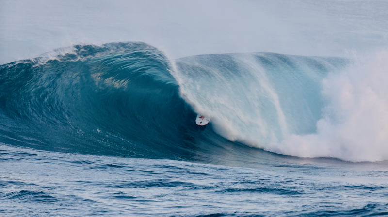 スクリーンショット 2026-01-28 17.11.28