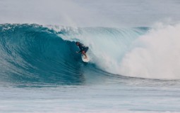 スクリーンショット 2026-01-24 17.45.24 (2)