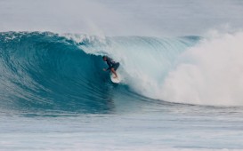 スクリーンショット 2026-01-24 17.45.24 (2)