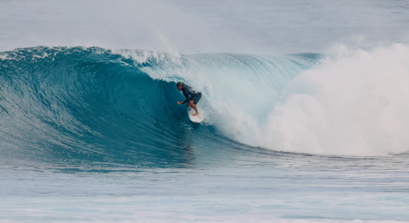 スクリーンショット 2026-01-24 17.45.24 (2)